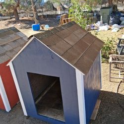 Dog House 