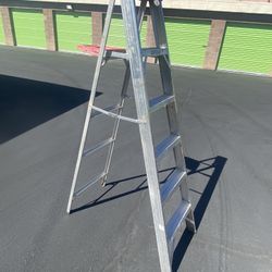 Werner 6ft Ladder