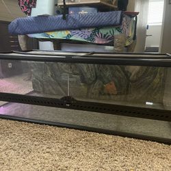 Low 40 Gallon Exo Terra Enclosure 