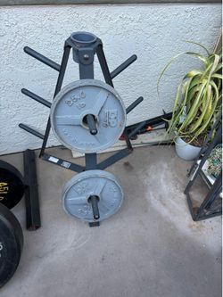 Olimpic weights 2x25.