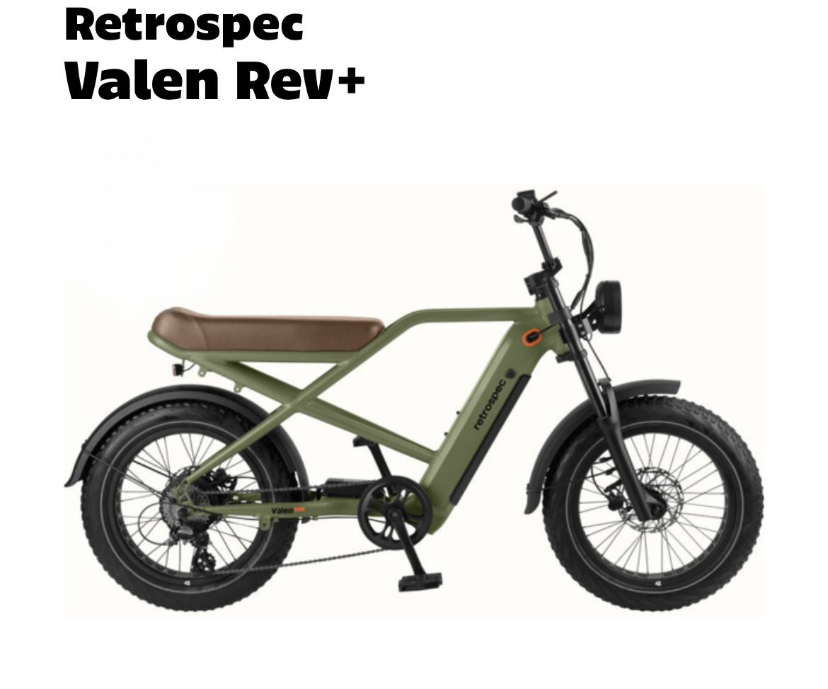 Electric Bike 