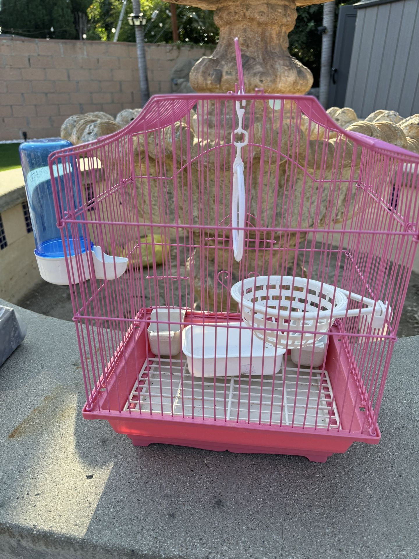 Bird Cage
