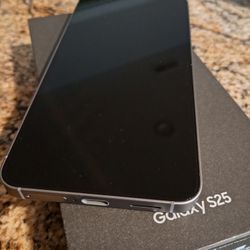 New Samsung Galaxy S25 