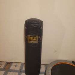 Everlast 100lb Punching Bag