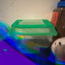 Turtle Tank