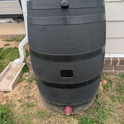 Rain Barrel