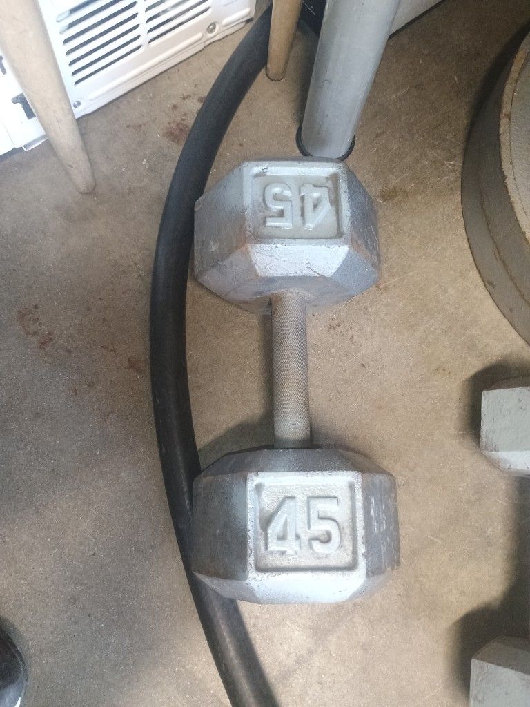 45 Lb Dumbbell