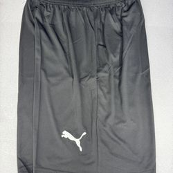 Puma Soccer Shorts 
