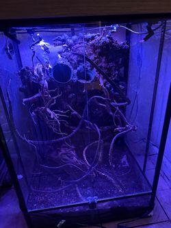 Enclosure