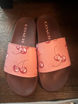 Coach slides