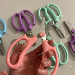 Flower Sheersโ8 Total