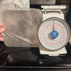 Food Scale