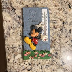 Mickey Indoor/Outdoor thermometer.