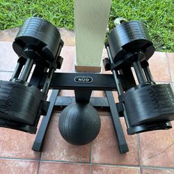 Home Gym For Sale- Bike- Rower- Dumbbells And More 