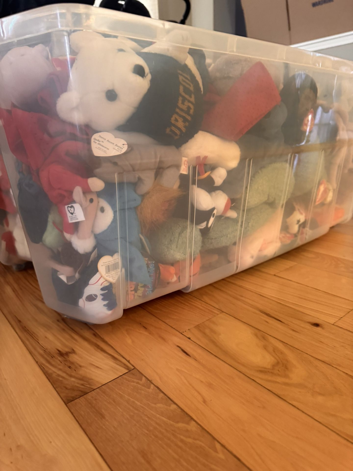 Bucket Of Beanie Babies
