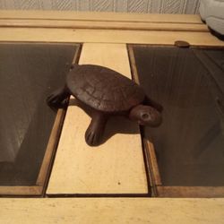 Adorable Cast Iron Turtle