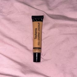Too Aemis Full Coverage Concealer