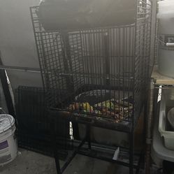 Cage for cockatoo