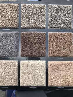 Plush Carpet