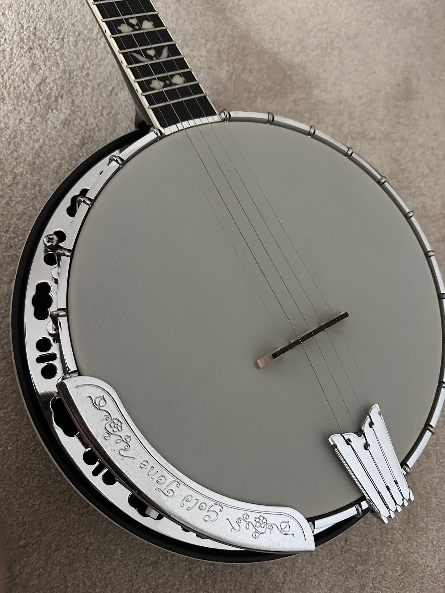 Gold Tone BG-150F Banjo + Hard case