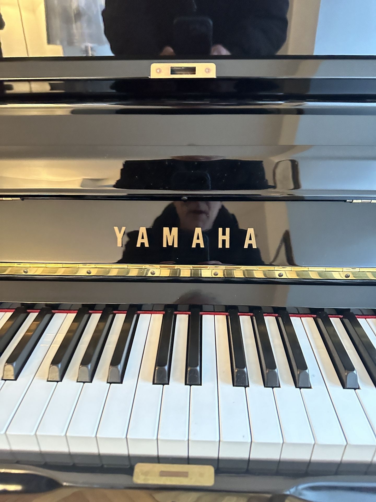 YAMAHA WX 1
