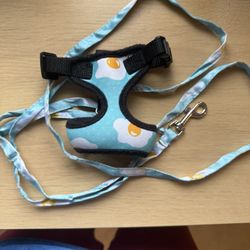 Small Animal Harness And Leash