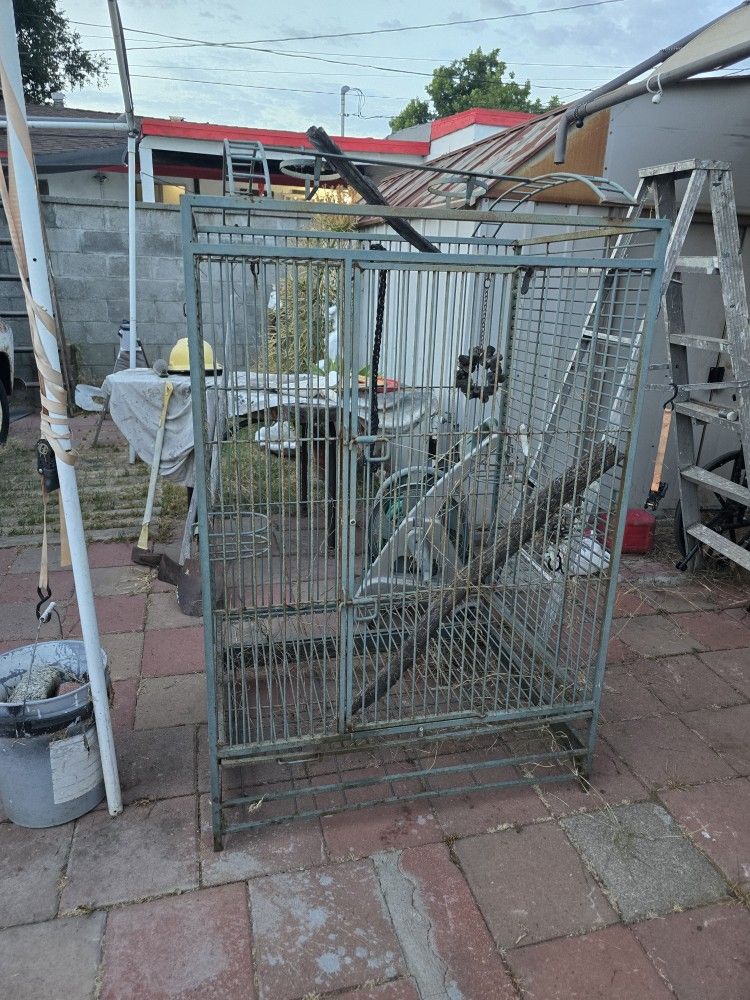 Bird Cage