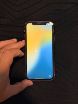 iPhone XR
