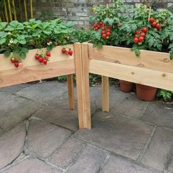 Elevated Planter