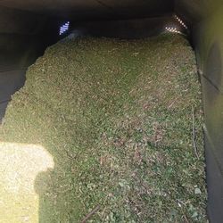 FREE CLEAN Wood Chip Mulch 