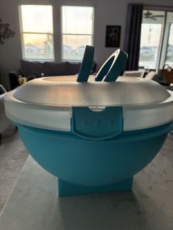 REDUCED Salad carrier