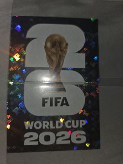 Panini worl cup