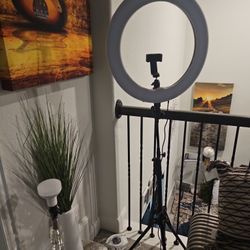 Tripod Stand With Ring Light And Remote