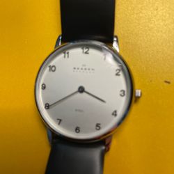 Skagen M15LSL