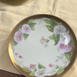 Vintage antique hand painted 12 plates from Bavaria Germany