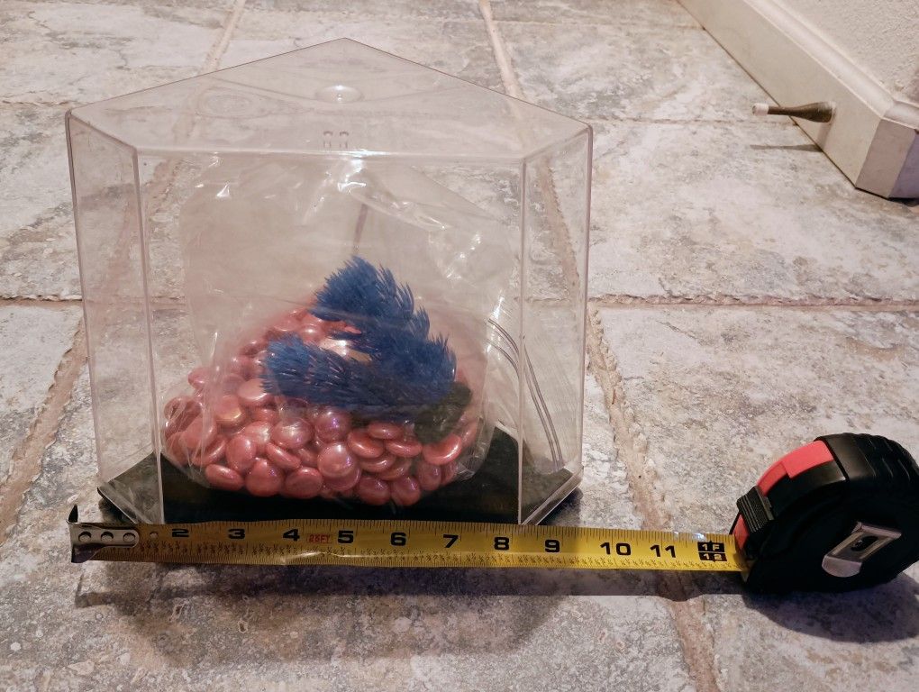 Miniature Betta Fish Tank