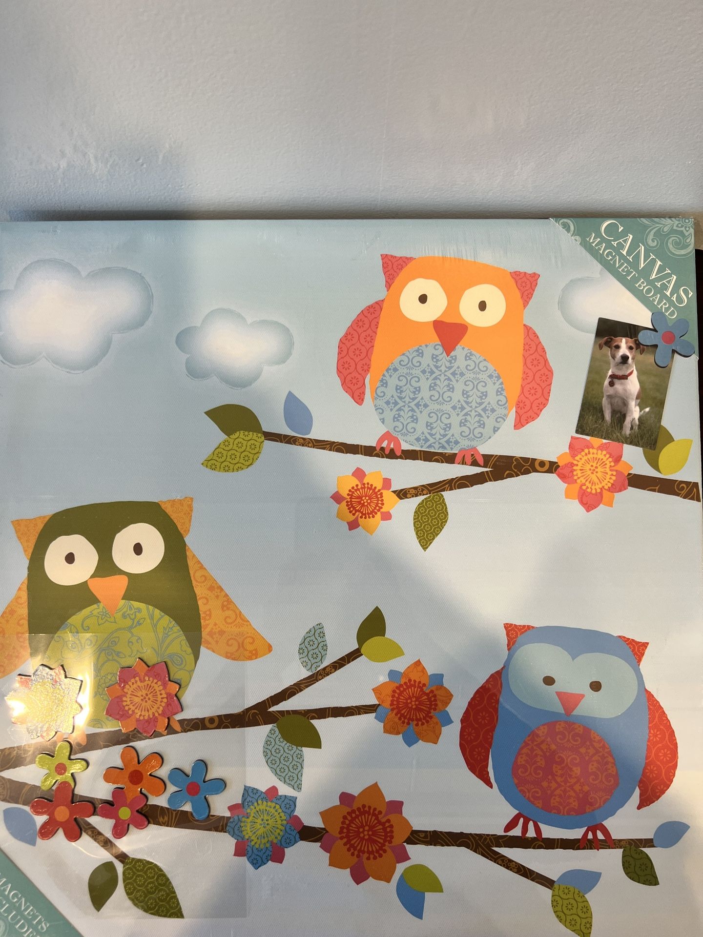 Owl Magnet Board