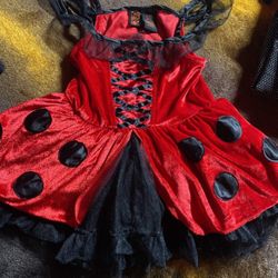 Ladybug Costume