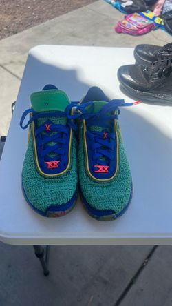 James lebron basketball Nike shoes
