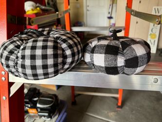 Thanksgiving pumpkins