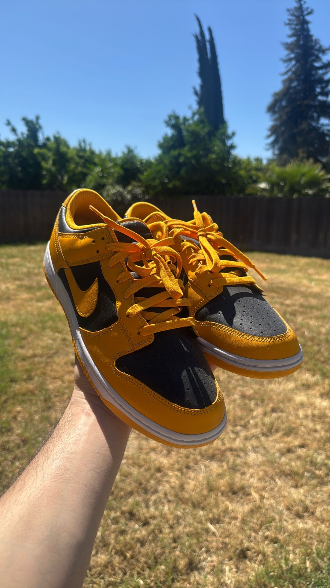 Nike Dunk Low ‘Golden Rod’