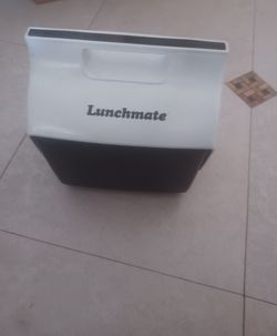 Ice cooler