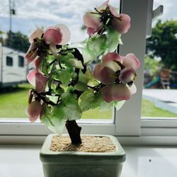 Vintage Jade bonsai 