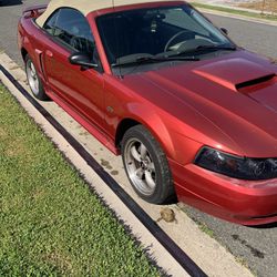 Mustang 2002 GT V8