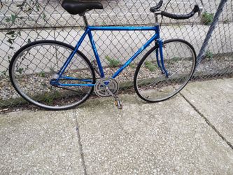 Metallic blue single speed road bike w bullhorn and freewheel