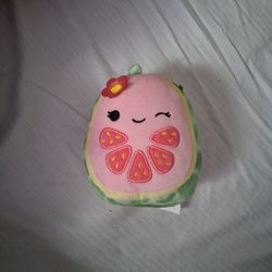 Small watermelon squishmallow