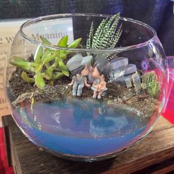 Embellished Succulents Planter with Live Succulents