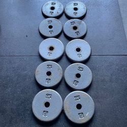 5 lbs Cap Standard 1” Weight Plate… Home Gym Fitness…