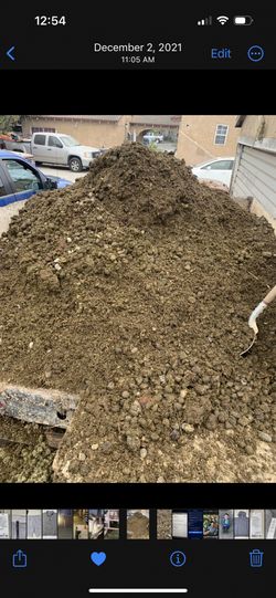 Horse Manure Estiércol de caballo