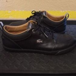 Men's Lacoste Size 12